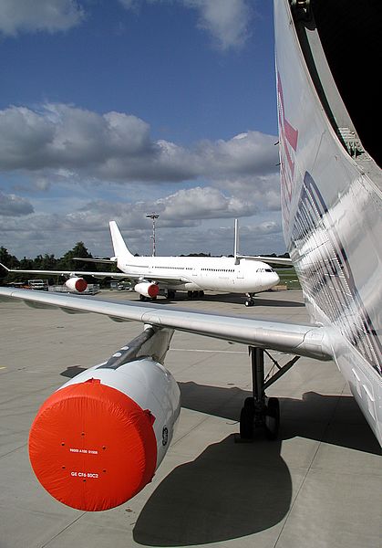 Beluga II