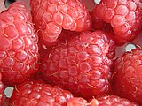 Himbeeren